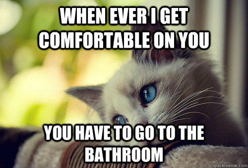 when ever i get comfortable on you   you have to go to the bathroom  First World Problems Cat