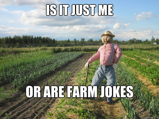 Is it just me Or are farm jokes corny?  Scarecrow