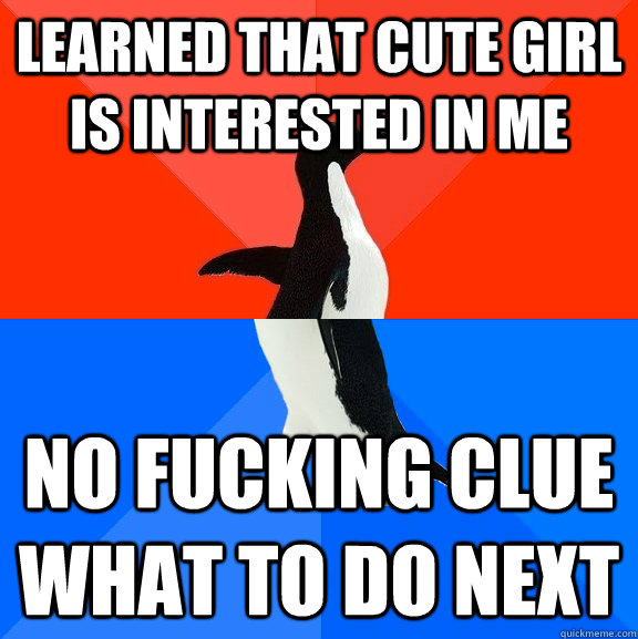 Learned that cute girl is interested in me No fucking clue what to do next  Socially Awesome Awkward Penguin