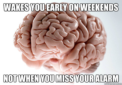 Wakes you early on weekends Not when you miss your alarm  Scumbag Brain