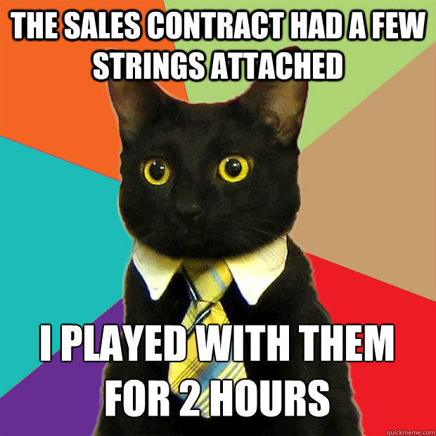 The sales contract had a few strings attached I played with them 
for 2 hours - The sales contract had a few strings attached I played with them 
for 2 hours  Business Cat