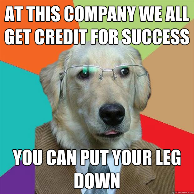 At this company we all get credit for success you can put your leg down - At this company we all get credit for success you can put your leg down  Business Dog