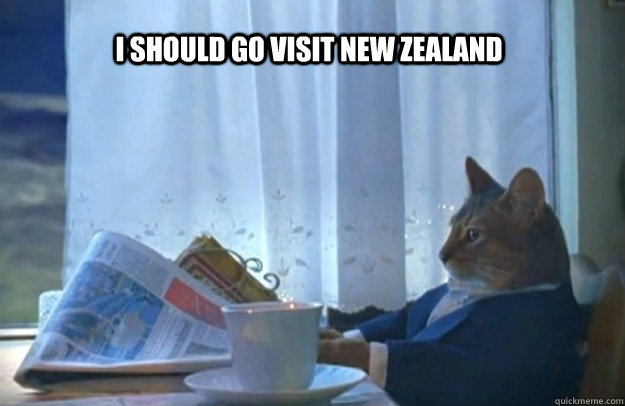 I should go visit New Zealand  Sophisticated Cat