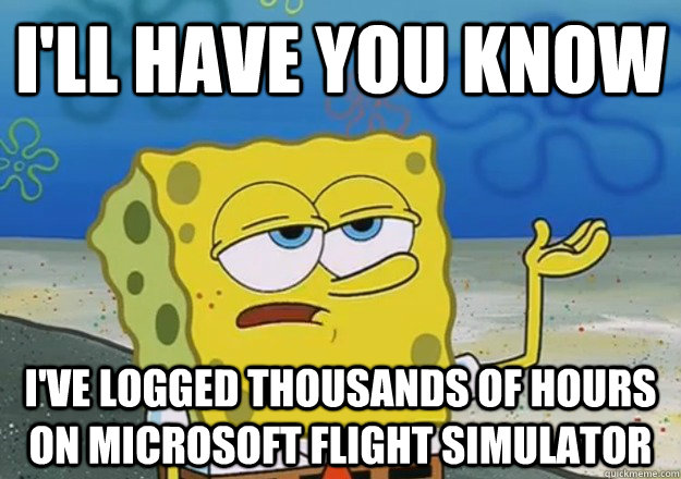 I'll have you know I've logged thousands of hours on Microsoft Flight Simulator  