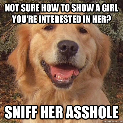 Not sure how to show a girl you're interested in her? Sniff her asshole - Not sure how to show a girl you're interested in her? Sniff her asshole  Good Advice Golden