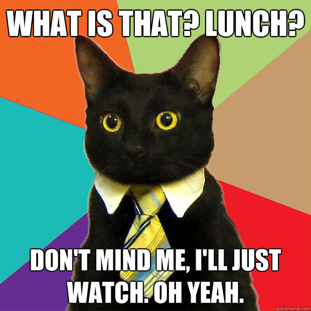 What is that? Lunch? don't mind me, i'll just watch. oh yeah.   Business Cat