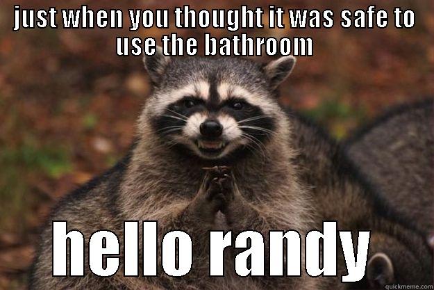 JUST WHEN YOU THOUGHT IT WAS SAFE TO USE THE BATHROOM HELLO RANDY Evil Plotting Raccoon