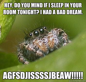 Hey, do you mind if i sleep in your room tonight? I had a bad dream. agfsdjissssjbeaw!!!!!  Misunderstood Spider