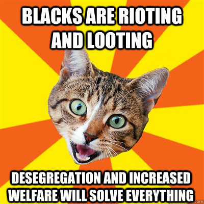 BLACKS ARE RIOTING AND LOOTING DESEGREGATION AND INCREASED WELFARE WILL SOLVE EVERYTHING  Bad Advice Cat