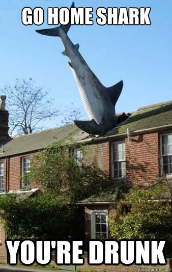 GO HOME SHARK YOU'RE DRUNK - GO HOME SHARK YOU'RE DRUNK  DRUNKSHARK