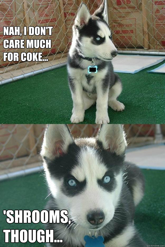 Nah, I don't
care much
for coke... 'Shrooms,
though...
  Insanity puppy