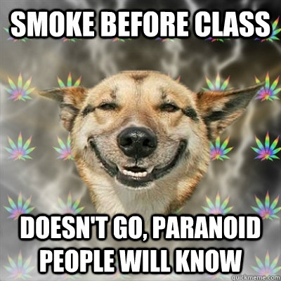 smoke before class doesn't go, paranoid people will know  Stoner Dog