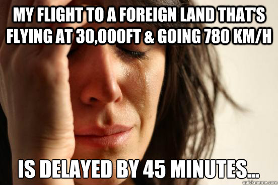 My flight to a foreign land that's flying at 30,000ft & going 780 km/h is delayed by 45 minutes...  First World Problems