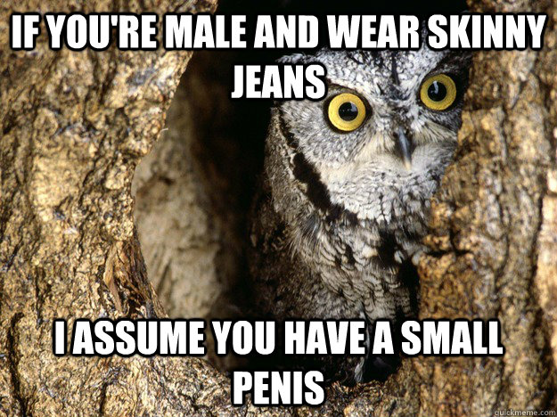 if you're male and wear skinny jeans I assume you have a small penis - if you're male and wear skinny jeans I assume you have a small penis  Opinionated Owl