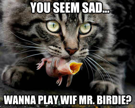 You seem sad... Wanna play wif Mr. Birdie?  