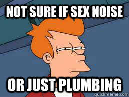 Not sure if sex noise or just plumbing  