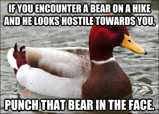 If you encounter a bear on a hike and he looks hostile towards you, punch that bear in the face. - If you encounter a bear on a hike and he looks hostile towards you, punch that bear in the face.  Malicious Advice Mallard