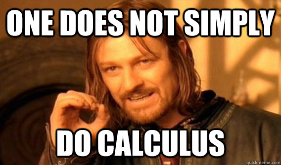 One does not simply Do Calculus  - One does not simply Do Calculus   Wu Tang Lord of the Rings