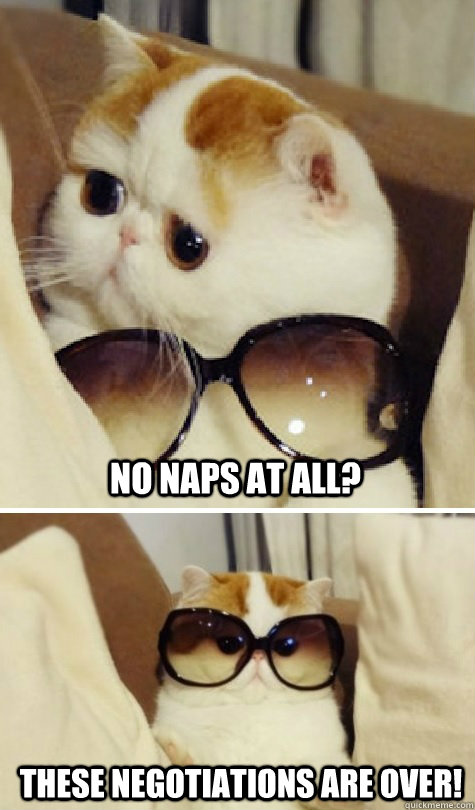 No naps at all? These negotiations are over! - No naps at all? These negotiations are over!  I look fabulous!