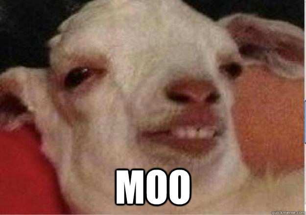  MOO  