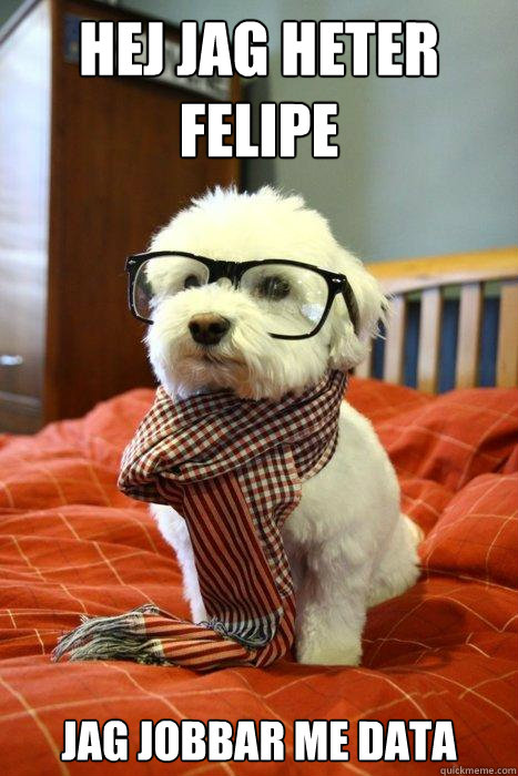 Hej jag heter Felipe Jag jobbar me data  Hipster Dog