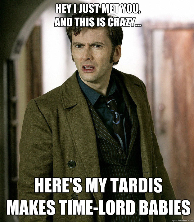 HEY I JUST MET YOU,
AND THIS IS CRAZY... HERE'S MY TARDIS
MAKES TIME-LORD BABIES  Doctor Who