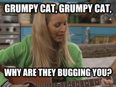 Grumpy cat, Grumpy cat, Why are they bugging you? Caption 3 goes here - Grumpy cat, Grumpy cat, Why are they bugging you? Caption 3 goes here  Grumpy Cat