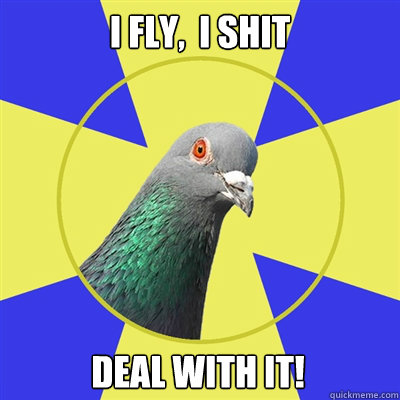 I Fly,  I Shit  Deal with it!  Religion Pigeon