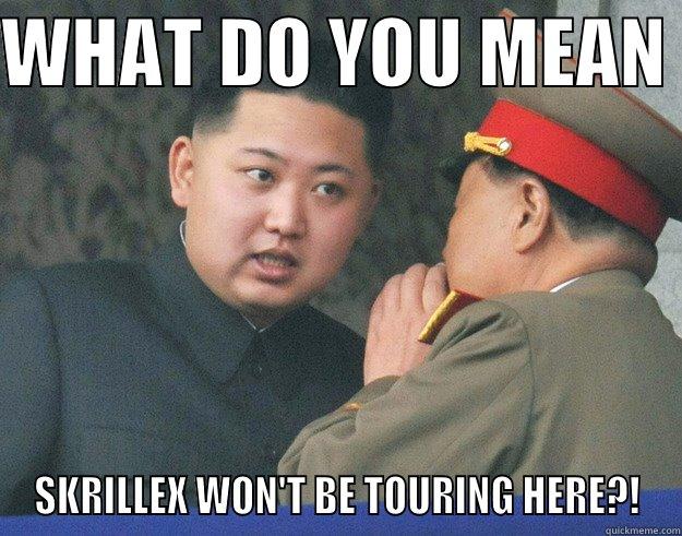 What do you mean skrillex won't be touring here?! - WHAT DO YOU MEAN  SKRILLEX WON'T BE TOURING HERE?! Hungry Kim Jong Un