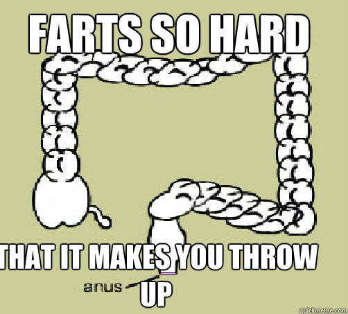 Farts so hard That it makes you throw up  scumbag anus