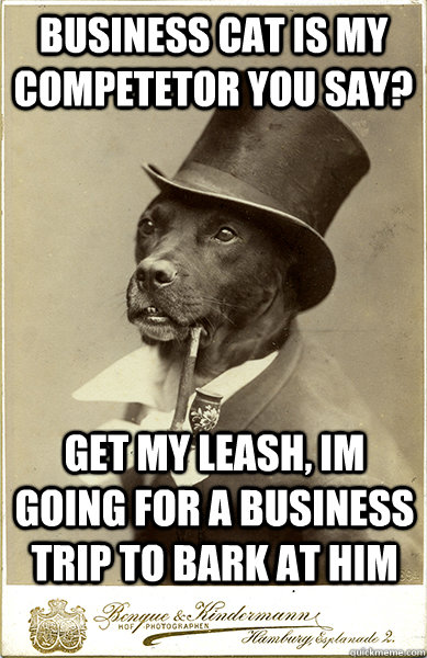 Business cat is my competetor you say? Get my leash, Im going for a business trip to bark at him - Business cat is my competetor you say? Get my leash, Im going for a business trip to bark at him  Old Money Dog