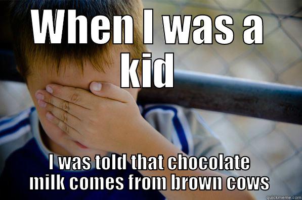 WHEN I WAS A KID I WAS TOLD THAT CHOCOLATE MILK COMES FROM BROWN COWS Confession kid