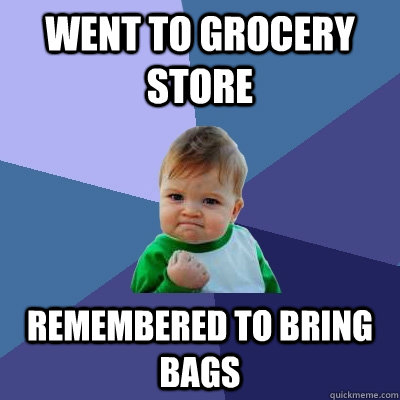 Went to grocery store Remembered to bring bags - Went to grocery store Remembered to bring bags  Success Kid