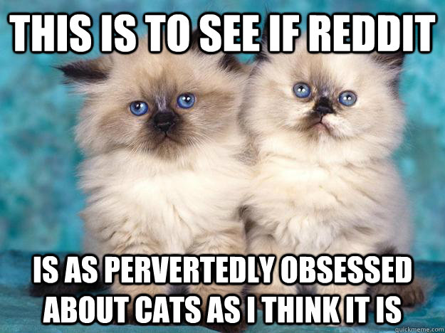 This is to see if reddit is as pervertedly obsessed about cats as i think it is  Viva La Anti-Cat Revolution