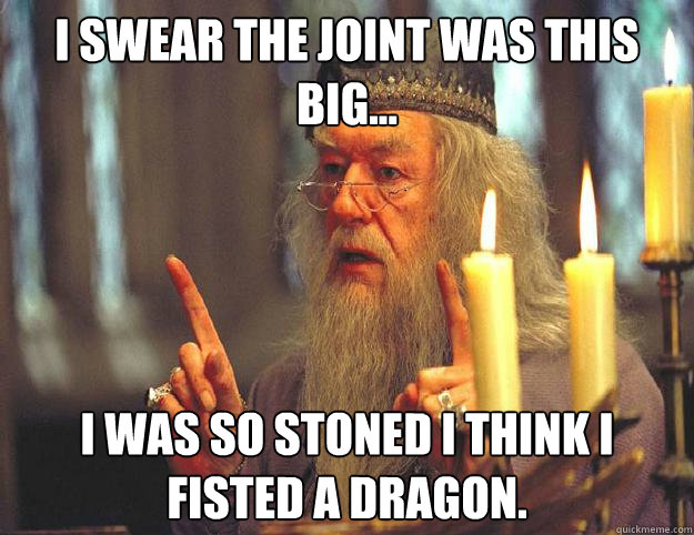 I swear the joint was this big... I was so stoned I think I fisted a dragon. - I swear the joint was this big... I was so stoned I think I fisted a dragon.  Scumbag Dumbledore