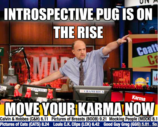 Introspective pug is on the rise
 move your karma now - Introspective pug is on the rise
 move your karma now  Mad Karma with Jim Cramer