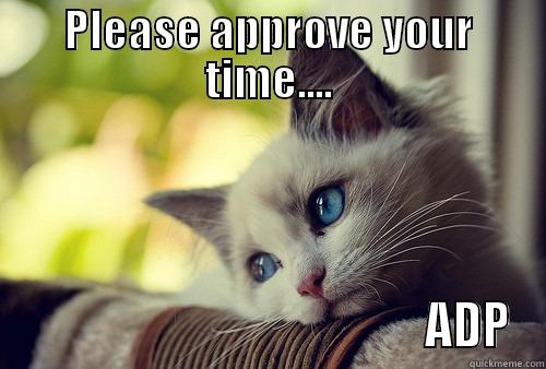 PLEASE APPROVE YOUR TIME....                                             ADP First World Problems Cat