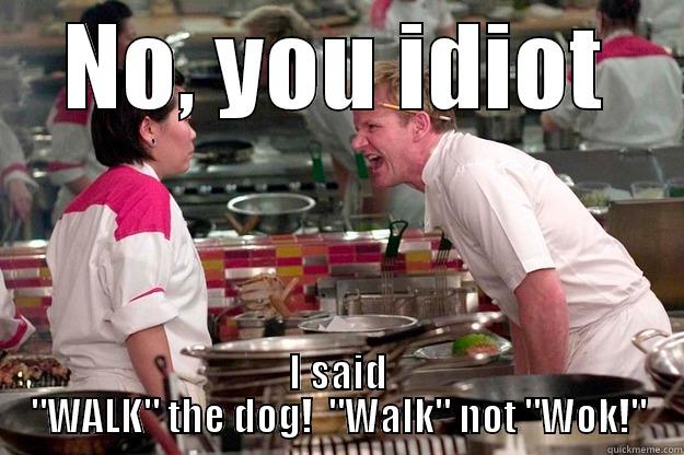 NO, YOU IDIOT I SAID 