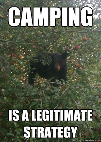 camping is a legitimate strategy - camping is a legitimate strategy  0 Fucks Bear