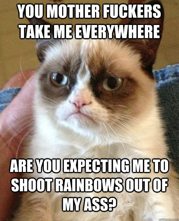 You mother fuckers take me everywhere are you expecting me to shoot rainbows out of my ass?  Grumpy Cat