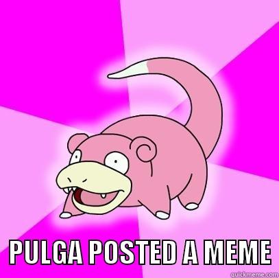    PULGA POSTED A MEME Slowpoke