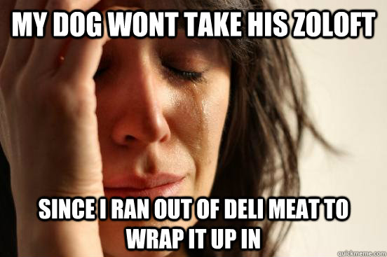 my dog wont take his zoloft since I ran out of deli meat to wrap it up in  First World Problems
