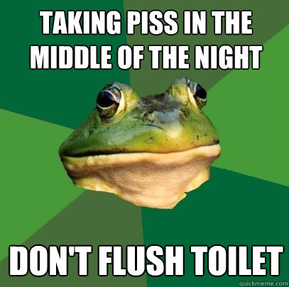 Taking piss in the middle of the night Don't flush toilet  Foul Bachelor Frog