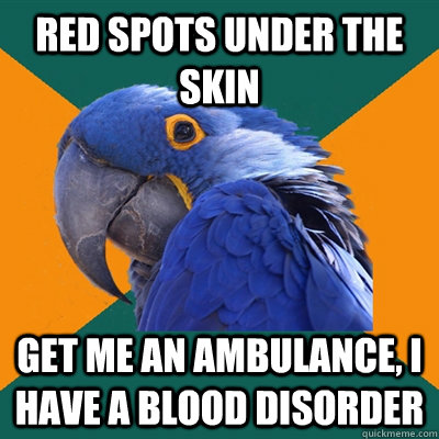 Red spots under the skin Get me an ambulance, I have a blood disorder   Paranoid Parrot