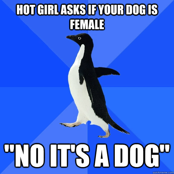 Hot girl asks if your dog is female 