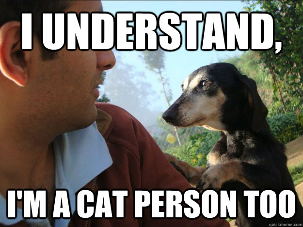 I understand, I'm a cat person too - I understand, I'm a cat person too  Consoling Canine