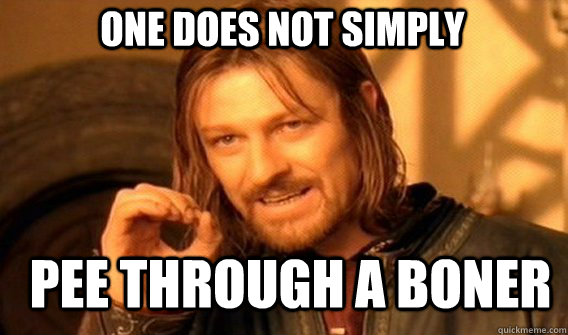 One does not simply pee through a boner  Boromir