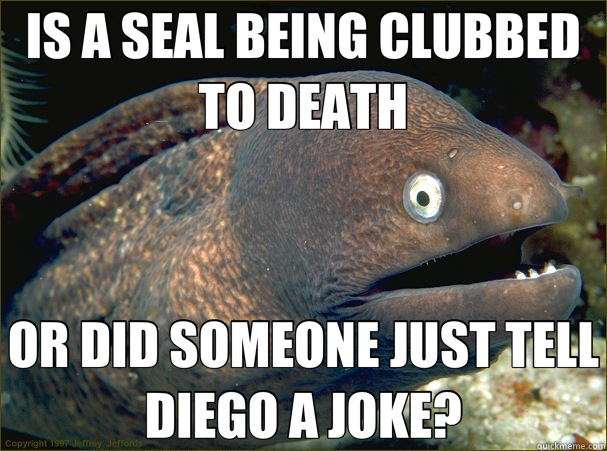 IS A SEAL BEING CLUBBED TO DEATH OR DID SOMEONE JUST TELL DIEGO A JOKE?  Bad Joke Eel