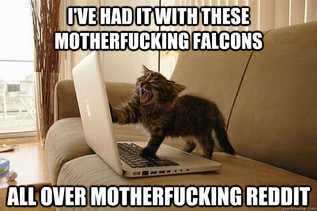 I've had it with these motherfucking falcons All over motherfucking Reddit - I've had it with these motherfucking falcons All over motherfucking Reddit  Mad Cat