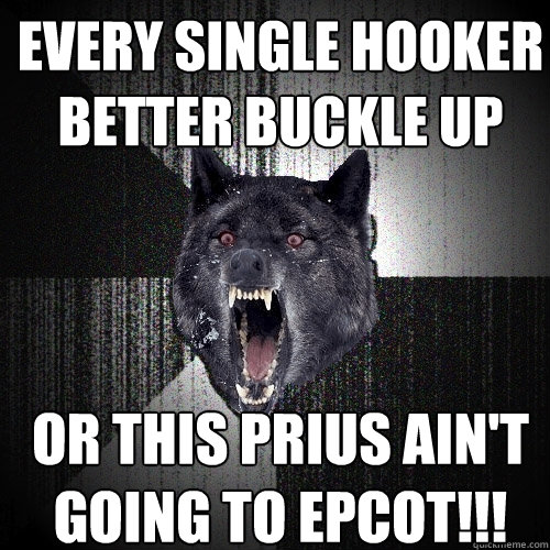 every single hooker better buckle up or this prius ain't going to epcot!!!  Insanity Wolf